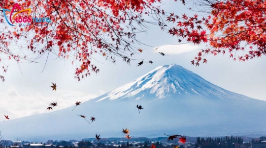 NHẬT BẢN: TOKYO–PHÚ SĨ –TRƯỢT TUYẾT [4N4D]